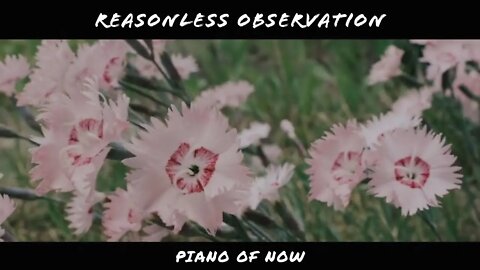 Reasonless observation | piano of now | A-Loven