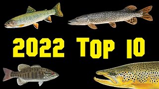 My Top 10 Catches of 2022
