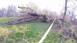 A Little Yard Work With The Farm Truck