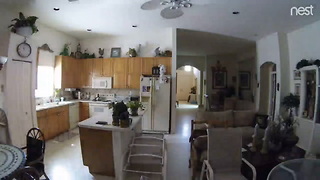 Deputy Allegedly Caught On Video Stealing From Dead Mans Home