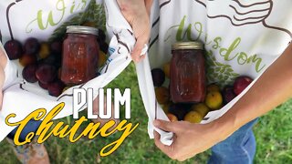 Plum Chutney Recipe and Canning Video