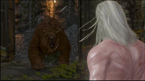 The Witcher 3 fist of fury olaf bear