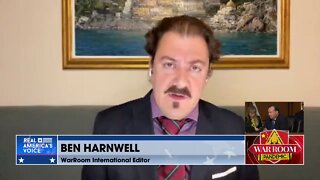 Harnwell: “Globalists hate Viktor Orban because he runs a successful Hungary First agenda.”