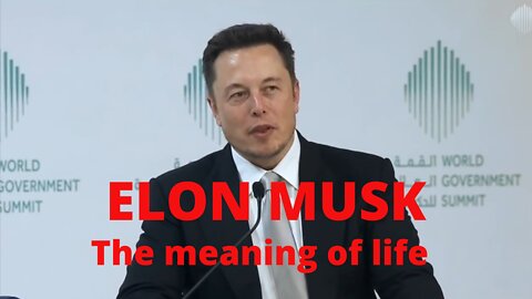 Elon musk/ the meaning of life, interview