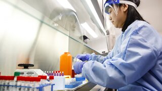 Shutdowns Prevented Millions Of Coronavirus Cases, Study Says