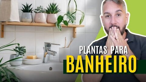 8 Dicas de plantas para decorar o seu banheiro e que não precisam de muitos cuidados
