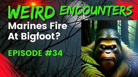 Marines Fire At Bigfoot? | Weird Encounters #34