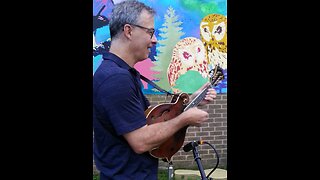 John Relph playing Rebecca on Mandolin with Pete Milano, Bob & Dave Shaw