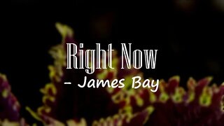 James Bay - Right Now (Lyrics) 🎵