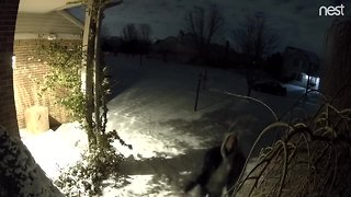 Video shows person throw brick at home in Canton Township
