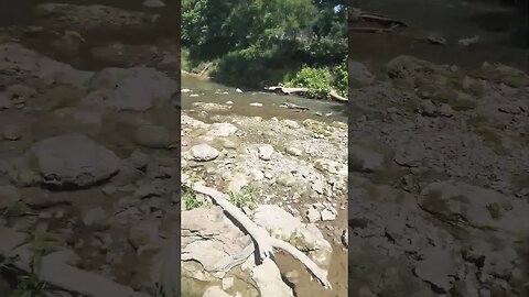 #weedeater #creek #rocks #shorts