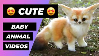 The Cutest Baby Animals In The World 🔴 1 Minute Animals