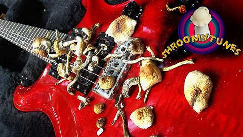 Live Tripping Jam and Chill (3g Amazonian psilocybe subcubensis) #musiclivestream