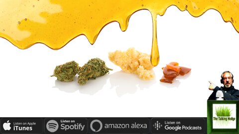 Cannabis Concentrates: An analysis of category data & trends