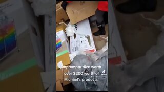 DAYTIME DUMPSTER DIVE AT MICHAELS!!!