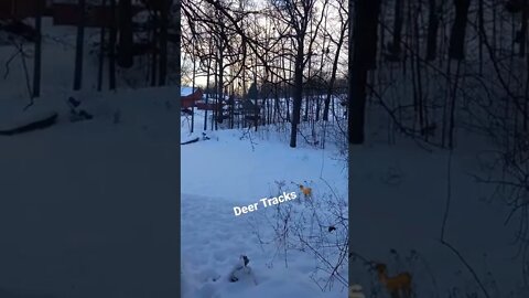 Pond Covered with Snow