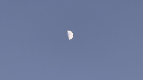 Lovely Half Moon 🌙