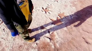 Human Footprints Next to Dinosaurs 165 Million Years Old, Wow