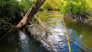 Catching BROOK and BROWN Trout with SLAYERSPINS