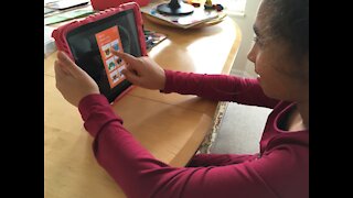 Staying mentally healthy during remote learning falls on parents, caregivers