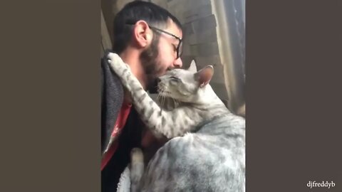 CATS Actually Love Their Humans, Here are the Proofs 7