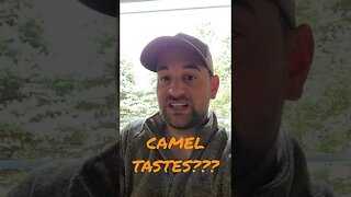 Camel Tastes?!