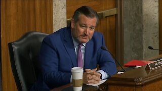 Cruz Rips Biden Nominee For Her Defund Police Rhetoric