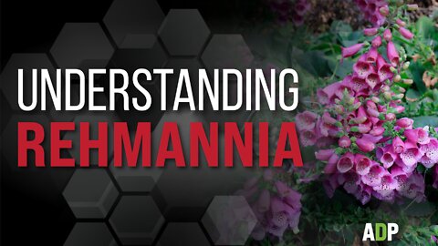 Understanding Rehmannia