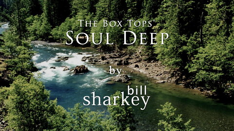 Soul Deep - Box Tops, The (cover-live by Bill Sharkey)