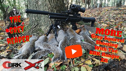 More Grey Squirrel Shooting With The BRK Ranger XR