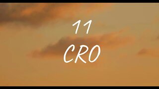 CRO - 11 (Lyrics)