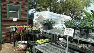 Largo landscaper finds innovative ways to attract business