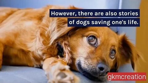 Stories of Dogs Saving One's Life | Pet Dog Story #petdogstory #petdog
