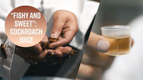 Cockroach juice: Your new health drink?