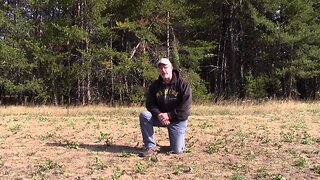 Food Plot Planting for Early Fall Hunting