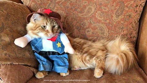 Funny Cat Models Sheriff Halloween Costume
