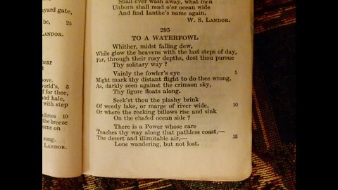 To A Waterfowl - W. C. Bryant