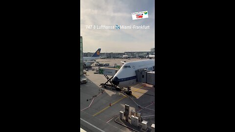 I like Frankfurt Airport #boeing747 #747-8 #miami #frankfurt #aviation #aviationgeek