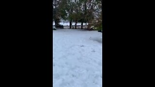 WATCH: Joy of braaiing in your underpants in Ceres snow, first rain in 12 years in Calvinia (ye7)