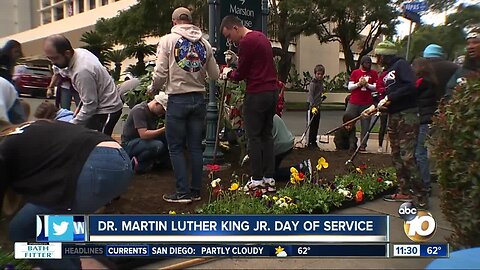 San Diegans beautify Balboa Park on MLK Day of Service