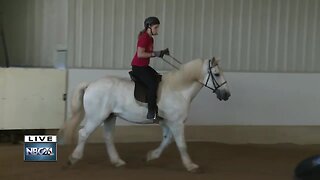 Helping Horses help people event this weekend