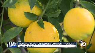 Renewed hope for beloved southeastern San Diego community garden