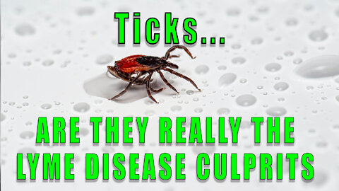 How to Prevent Lyme Disease