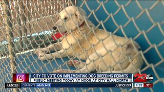 Meeting to be held Monday to discuss new rules for dog breeders