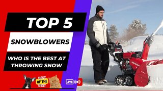 Make Sure to Get The best Snowblower For 2022 In The News
