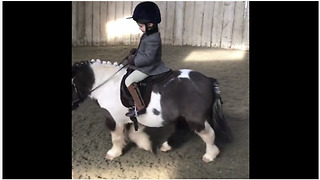 Little girl adorably rides her little pony