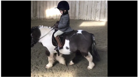 Little girl adorably rides her little pony