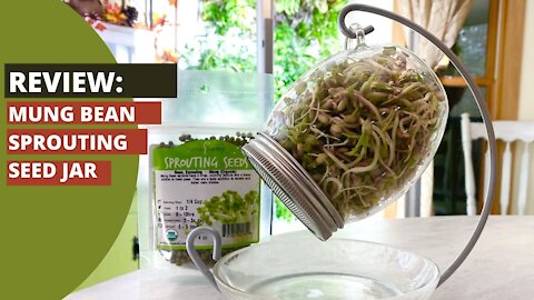 How to Use a Bean Sprouting Jar.