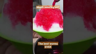 The BEST WORMS Ever - Ipoh STREET FOOD Secret 🇲🇾