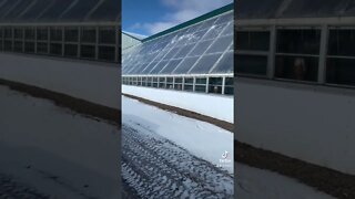 -12C out 🥶, +32C in 🥵 #coldclimate #deepwinter #passivesolar #greenhouse #homestead #prepper